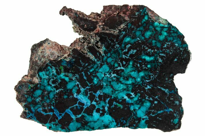 Vibrant Chrysocolla and Shattuckite Slab - Mexico #337036